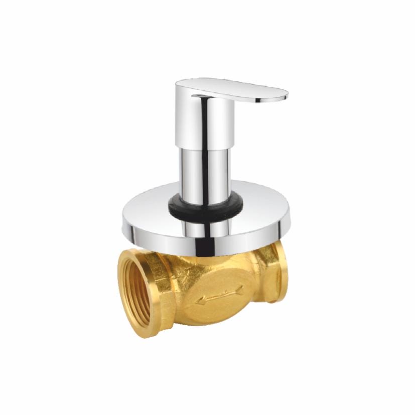 Flush Cock Heavy With Flange (304) 25 MM