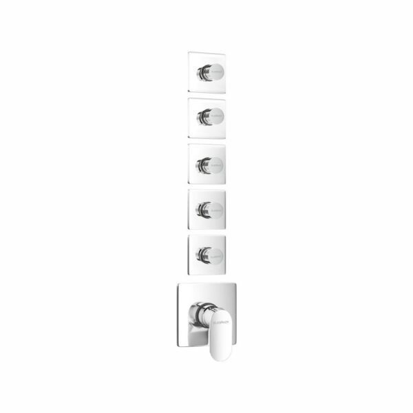 5 Outlet Mutifunction Diverter With Individual Control Unit Option