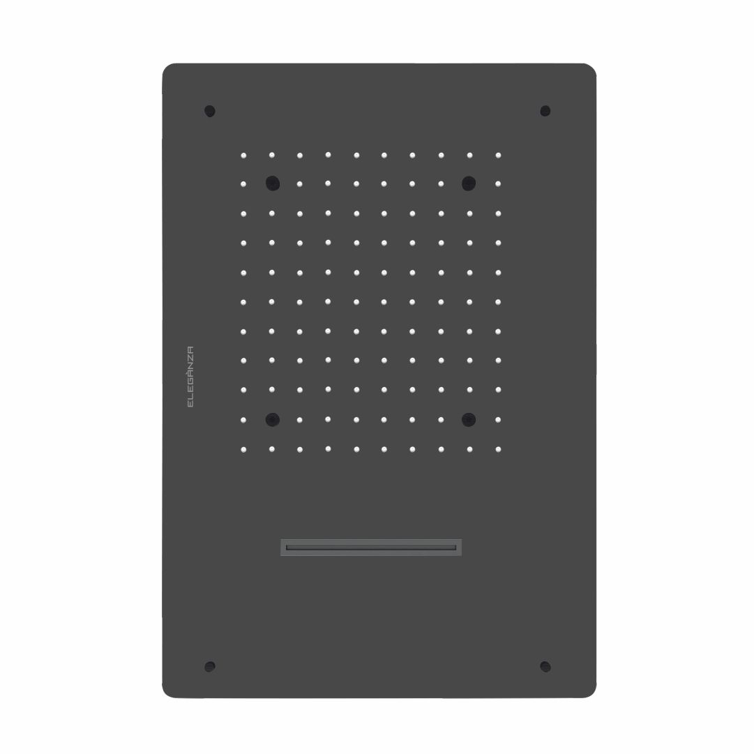 2 Functions SPA Shower