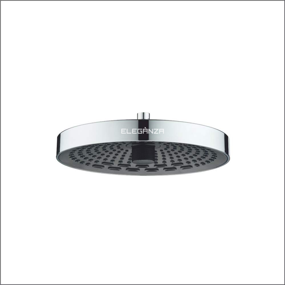 Multi Function ABS Shower
